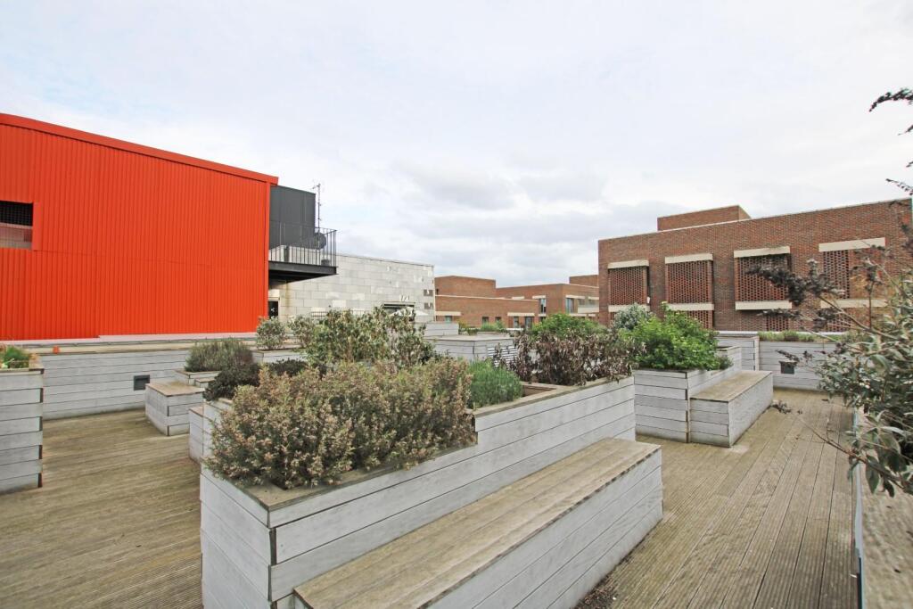 Roof Terrace.JPG