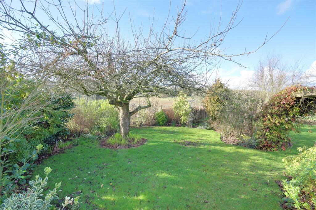 img_1444 - copy-img_1446 - copy.jpg