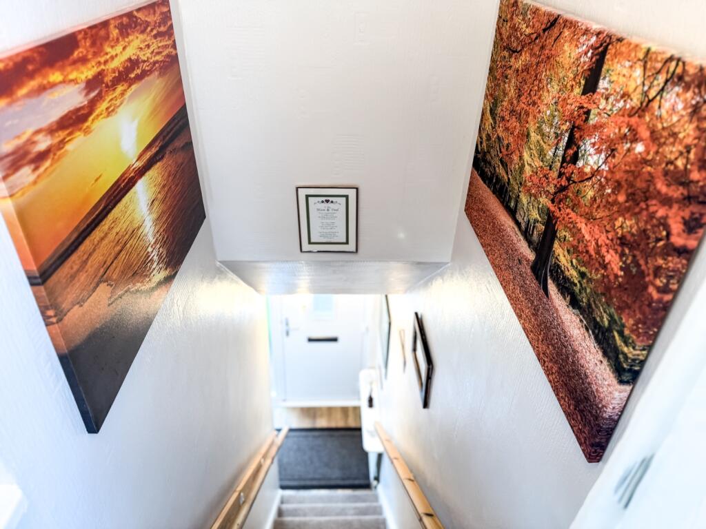 Sunstar Marton Ewemove-8