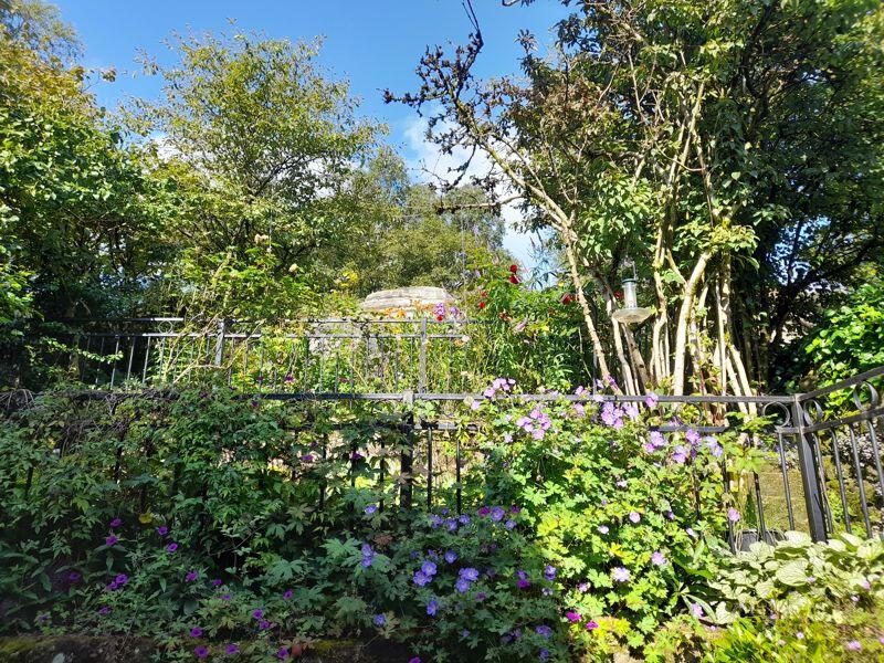 Supplied By Vendor (Summer Photo)