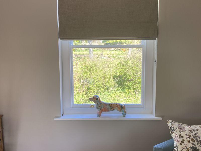 View from dining room 