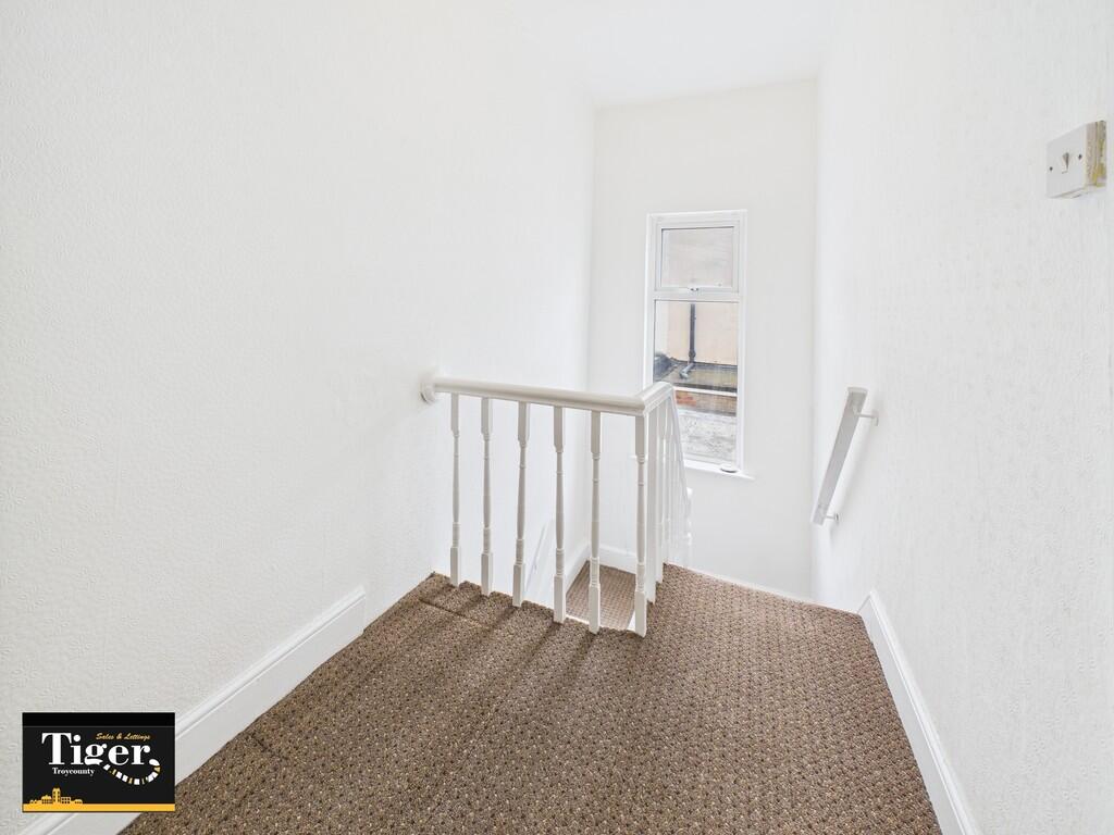 CAM02176G0-PR0650...