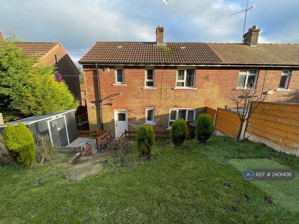 Back Garden