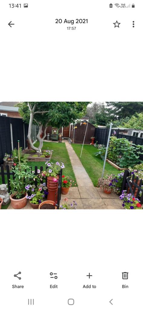 Owners Summertime shot 