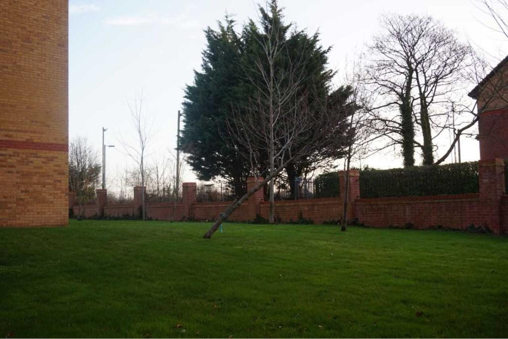 Communal Gardens