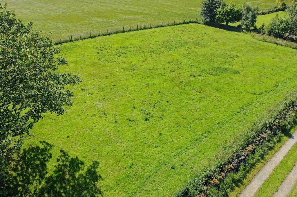 Paddock (1 of 2)