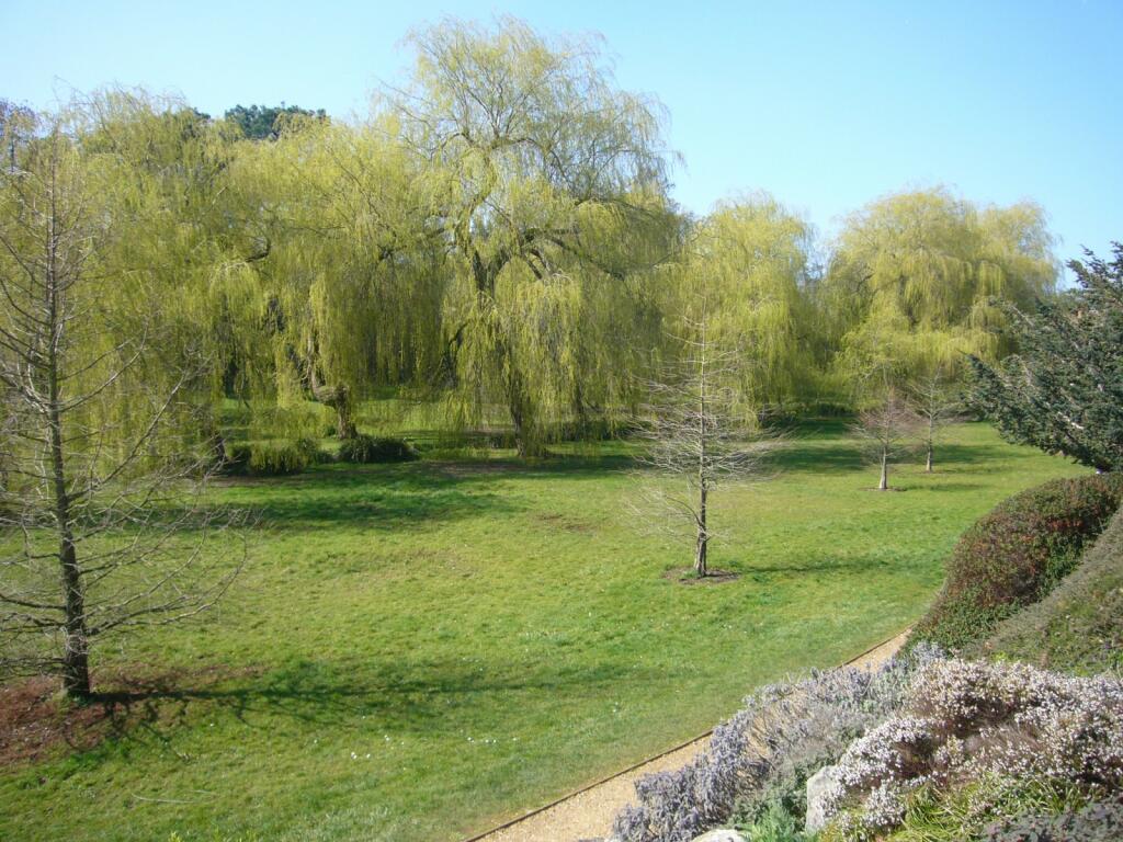 Bournemouth Gardens 