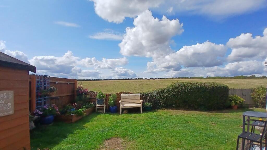 Garden 2.jpg