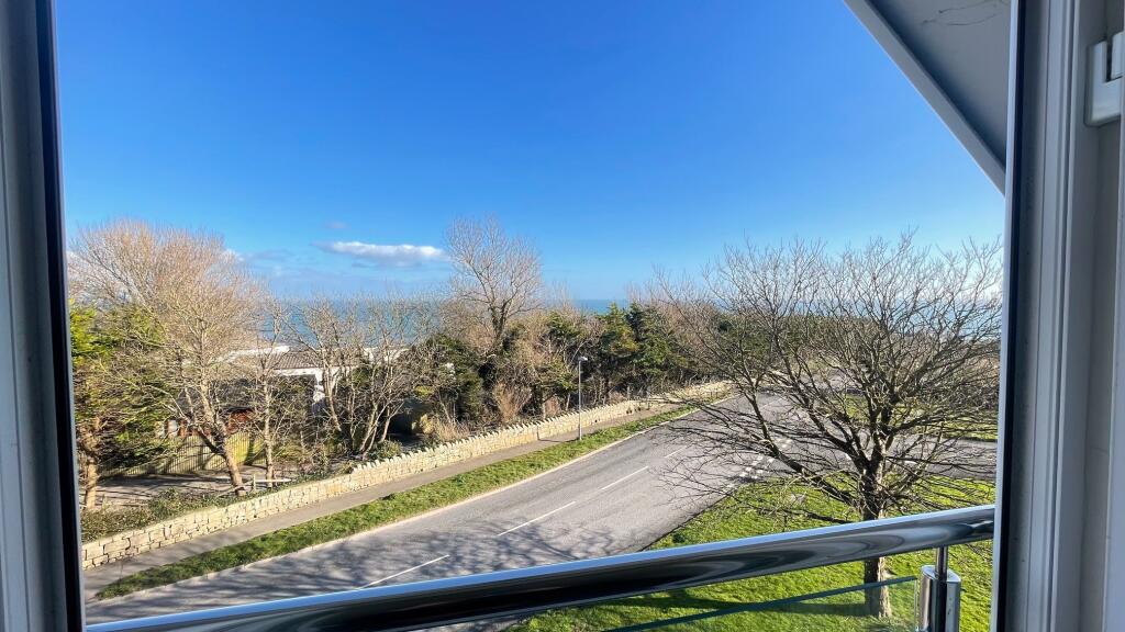 View From Sittiing Room