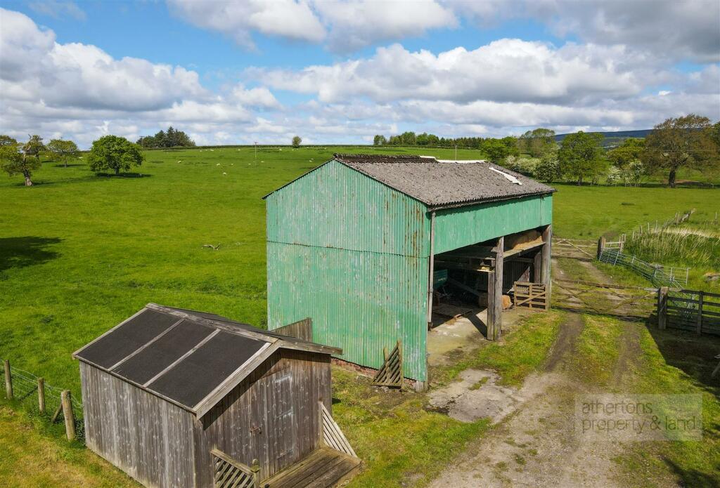 DJI_0938.jpg