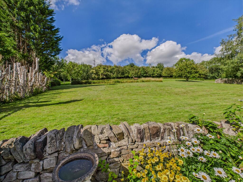 Serene Open Field to the Rear