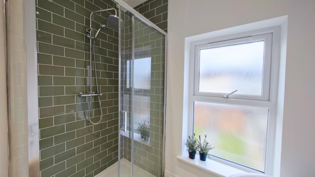 IMG_20250314_155205-2