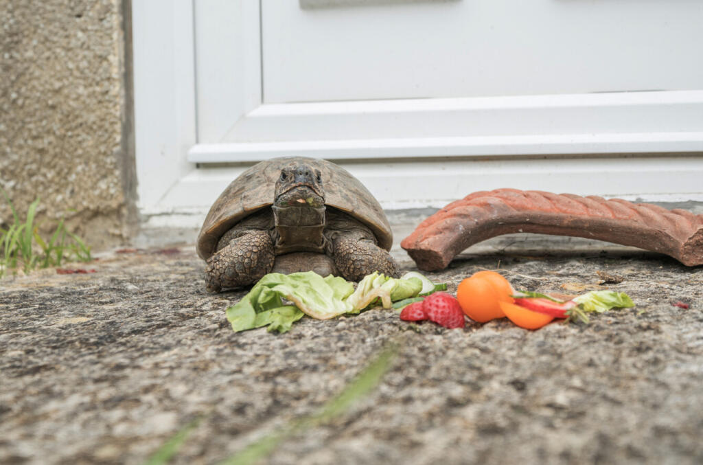 13054961684ab720529fd