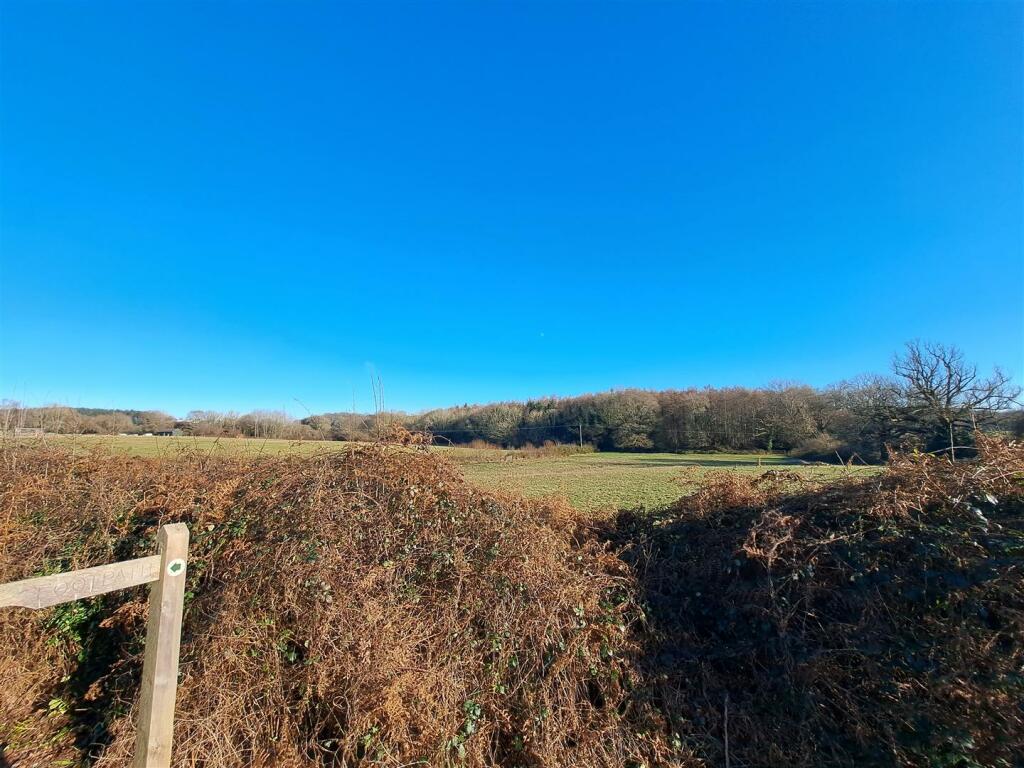 Countryside Views