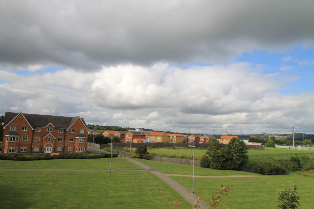 IMG_3175_6_original.