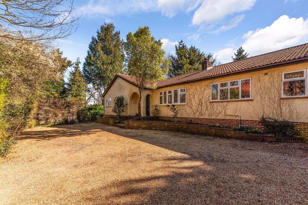 WILMOT WAY, THE SQUIRRELS- (25).jpg