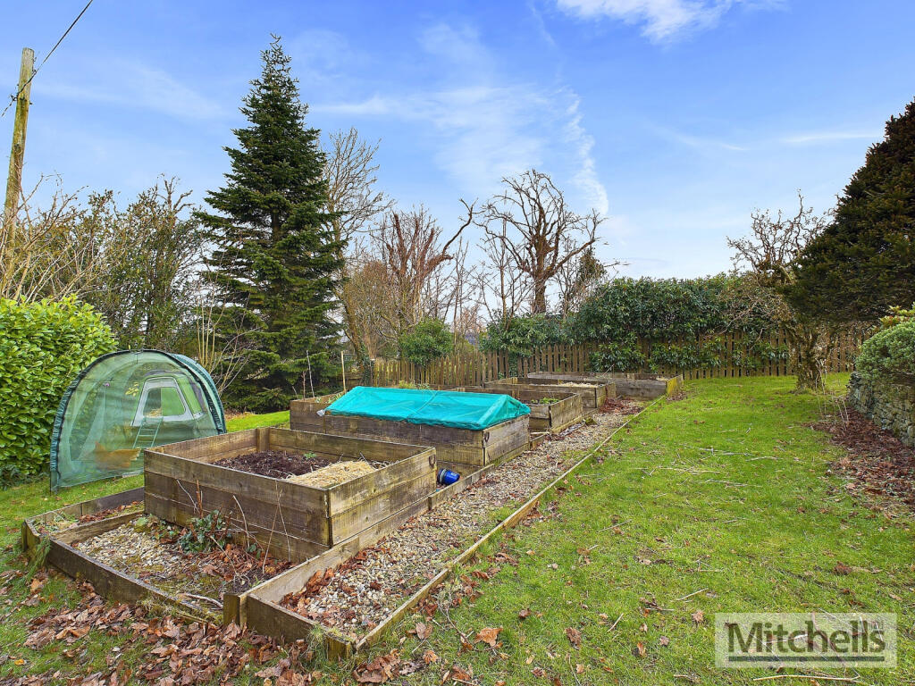 Vegetable Garden