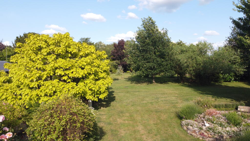 5f1d1ffa-DJI_0567.JPG