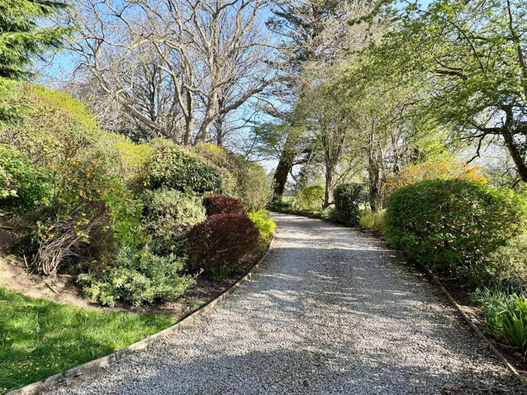 PHOTO-2025-04-13-20-45-42 (40).jpg