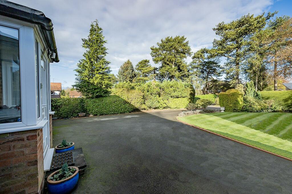 Driveway and front lawn