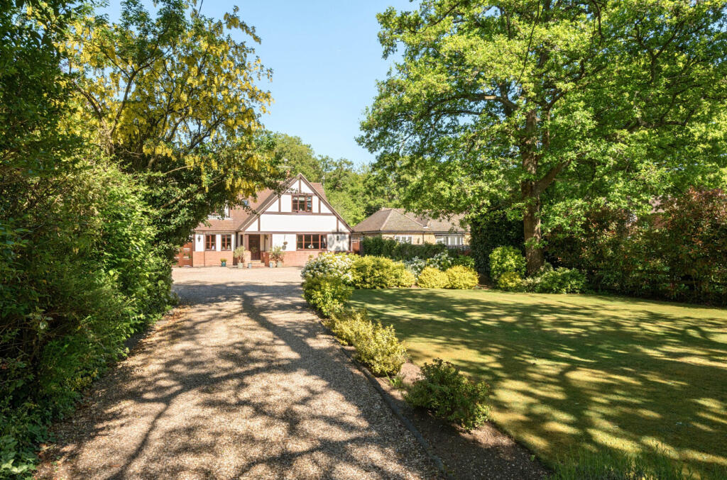 42-681e1a42399f0-...