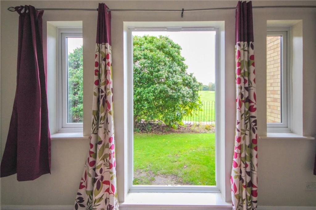 Patio Door