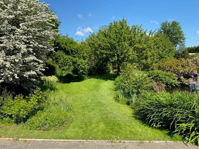 butchers lawn.jpg