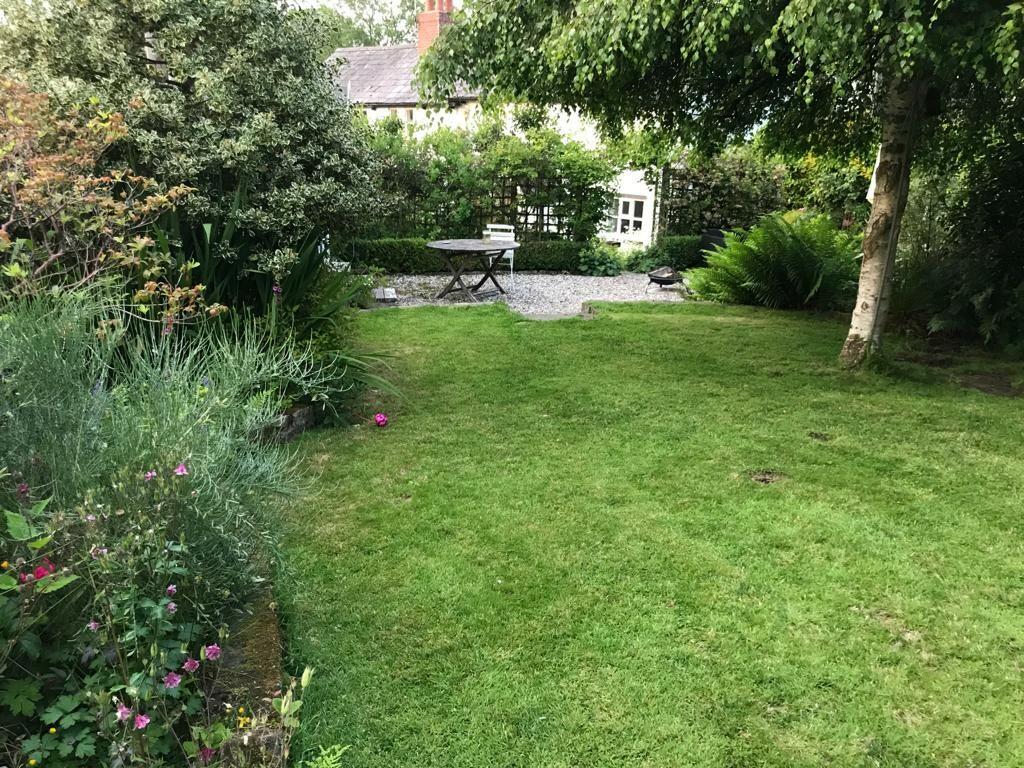 Lawn in Summer