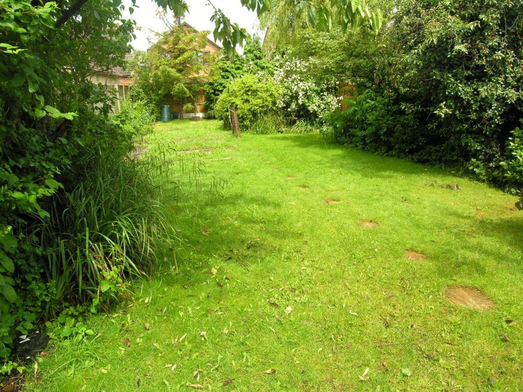 garden