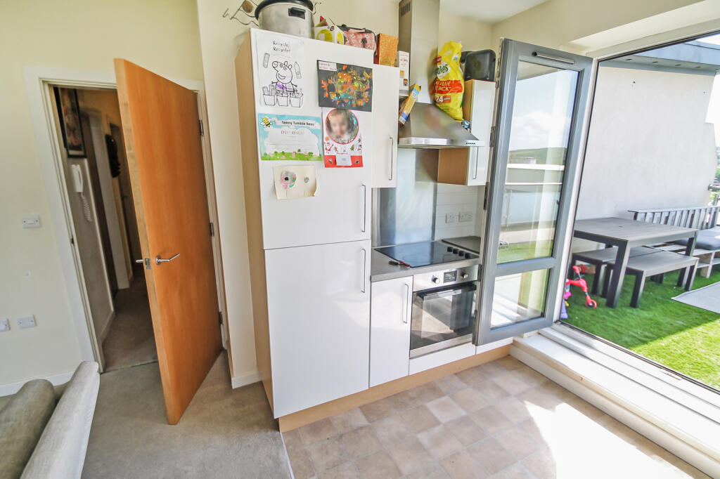 IMG_8010_2_original.