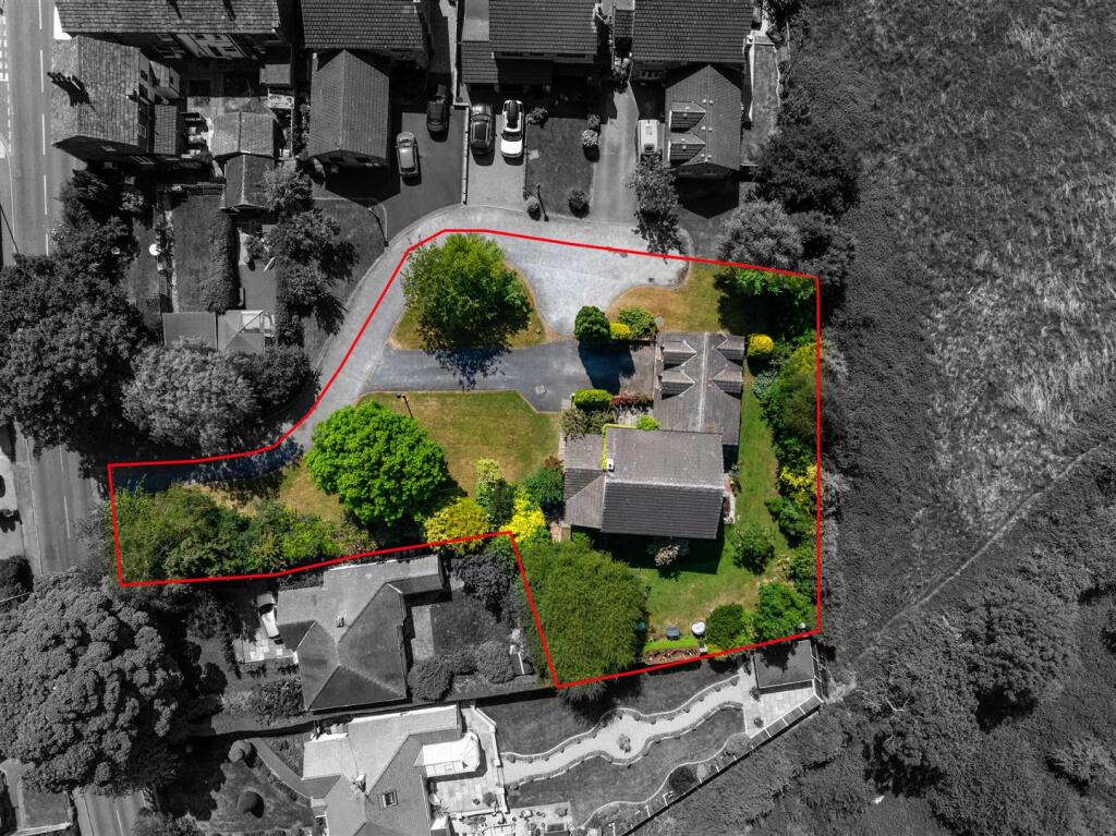 DJI_20240318165730_0104_D (1).jpg