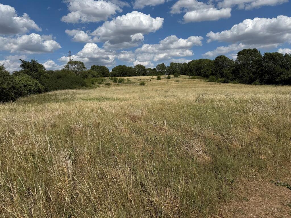 Lot 5.jpg