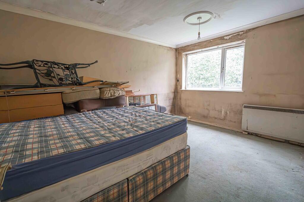 20250212-DSC02647...