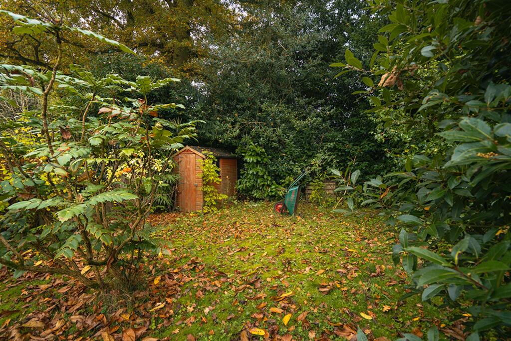 Back Garden