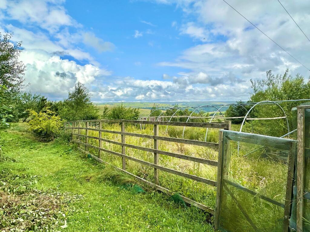 Photograph 22