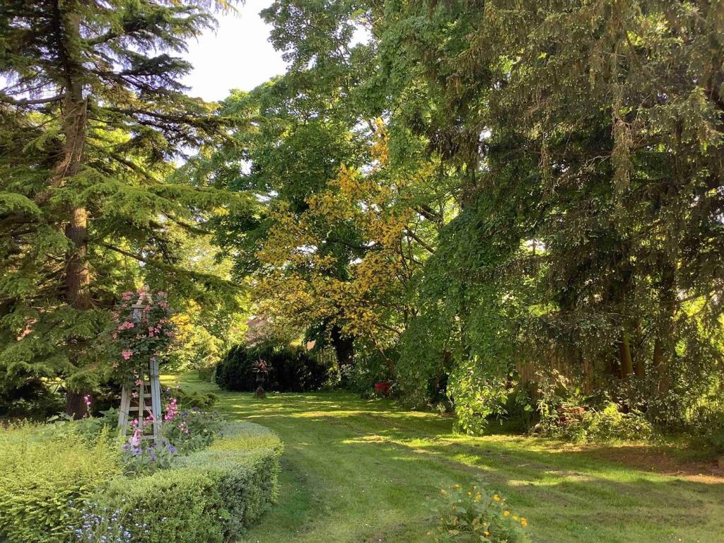 Gardens (Summer 2024)
