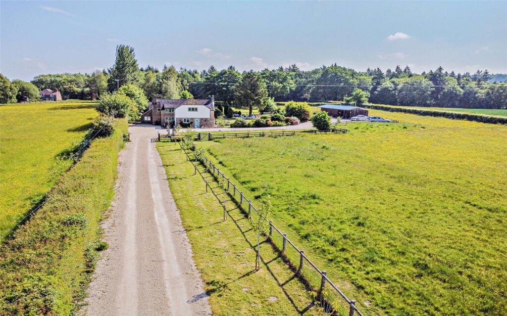 Driveway