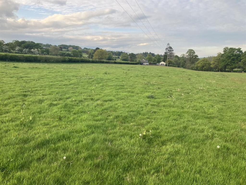 IMG_9736.JPEG