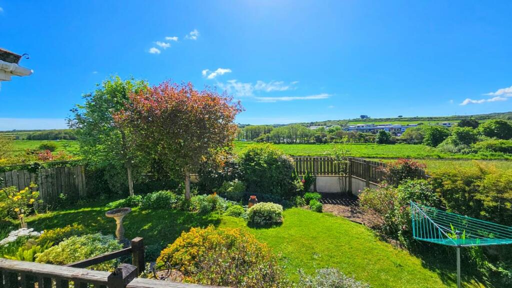 rear garden2.jpg