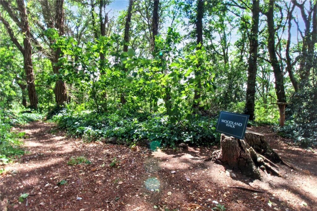 Woodland