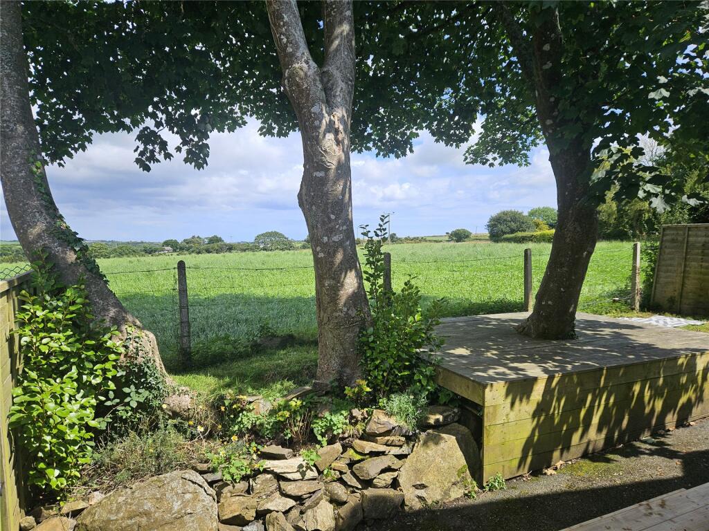 Picture No. 21