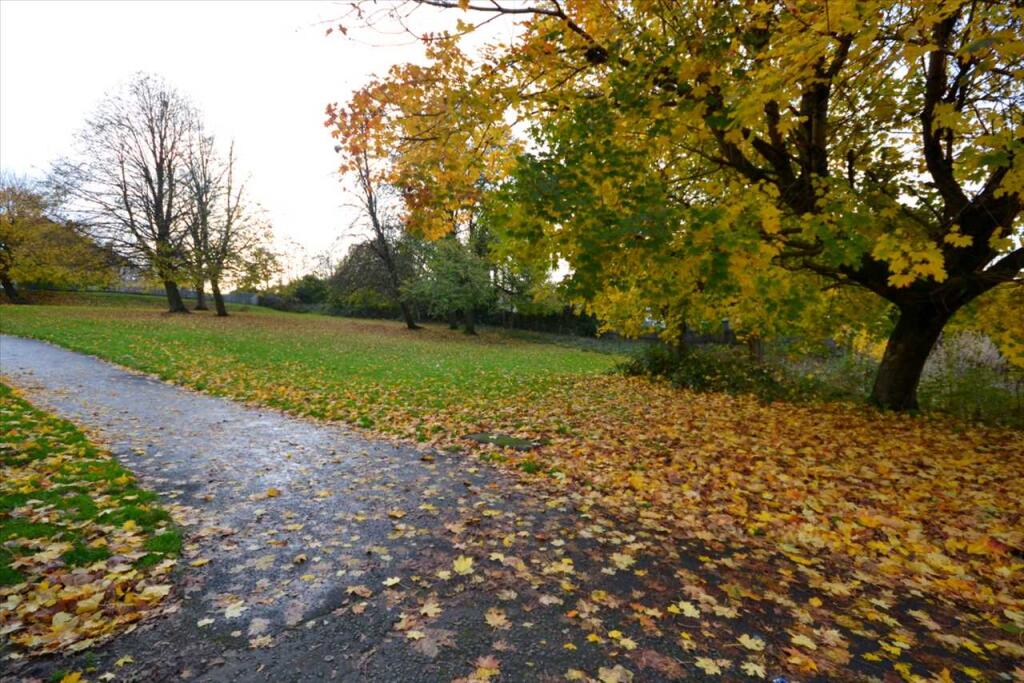 Park