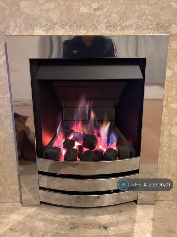 Gas Fire In Living Room