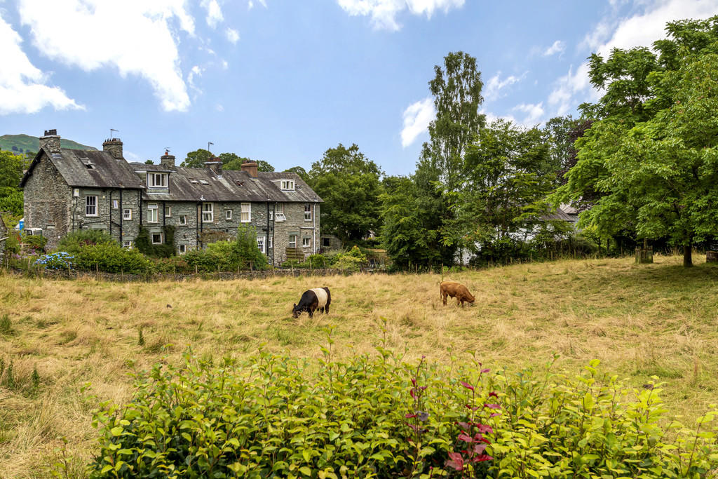 View from Garden