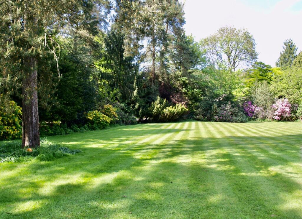 Communal grounds