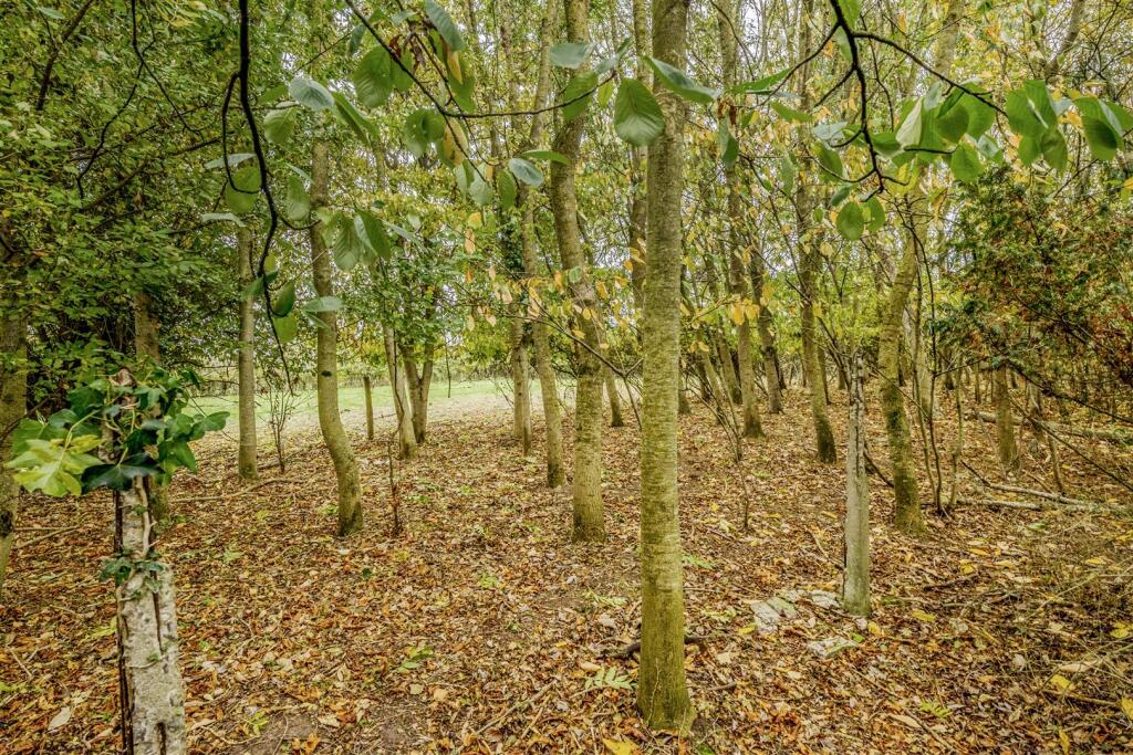 Copse (available by separate negotiation)