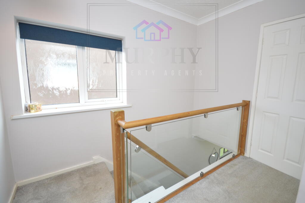 DSC_0123.JPG