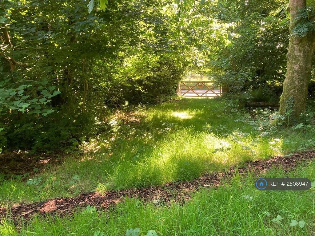 Woodland Towards Lane.