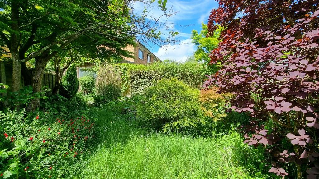 Front/Side Garden