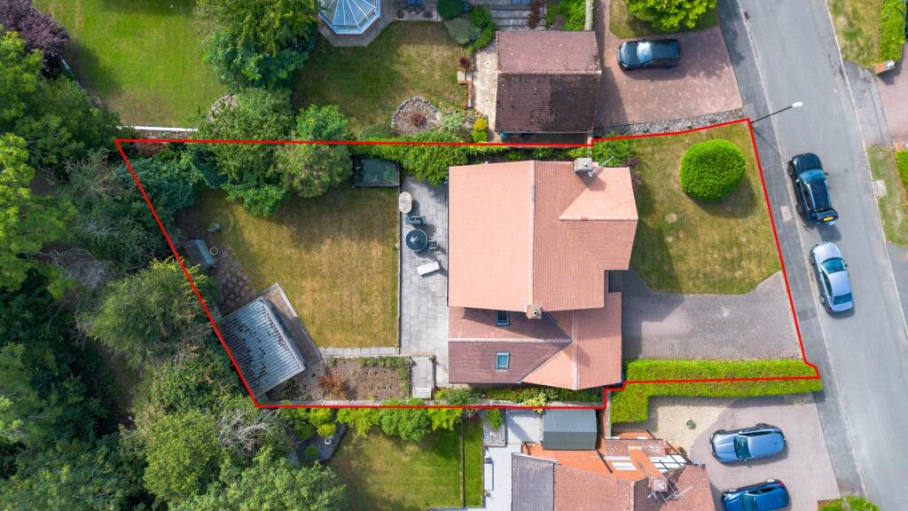 Birds Eye View